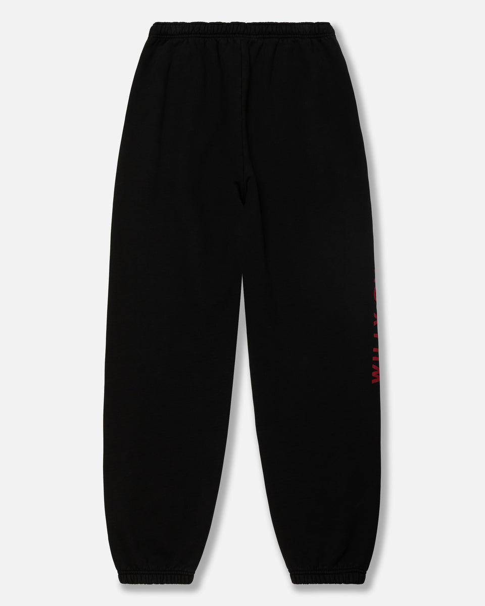 Willie’s Sagittarius1.5 SPSU26-WILLY-FLATS-
