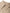 POINT COLLAR DRESS SHIRT - TRAVERTINE Willy Chavarria