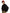 WASCO ZIP JACKET - BLACK Willy Chavarria