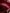 W TOTE BAG -  BORDEAUX Willy Chavarria