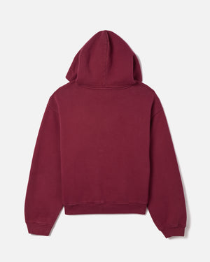 CHAVARRIA COMMUNITY CENTER SHRUNKEN PO HOODIE