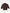 WOMENS CHAVELA SWEATER Willy Chavarria