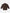 WOMENS CHAVELA SWEATER Willy Chavarria