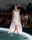 fashion-collection