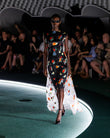 fashion-collection